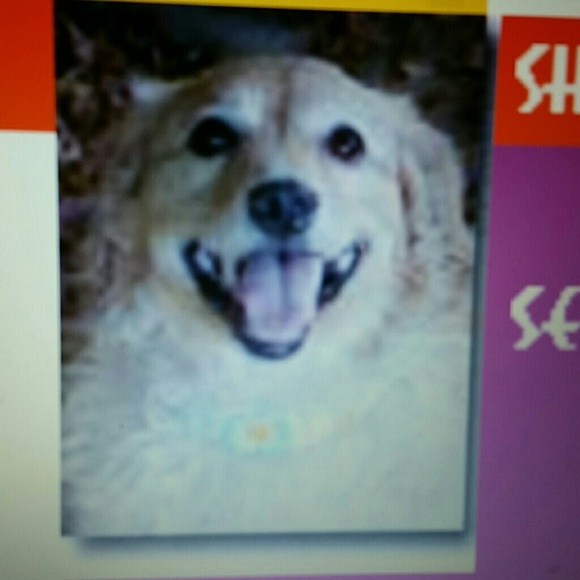 CLOSING NOW ๐ฅ 70%OFF bundle $50 or more๐ฅMeet your Posher, June - Picture 1 of 1